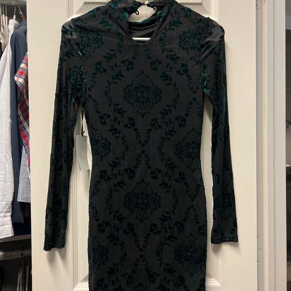 iris - Picture 3 of 4